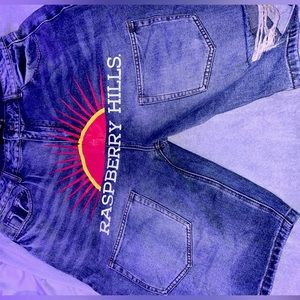 Men’s vintage jorts 36w screenprint